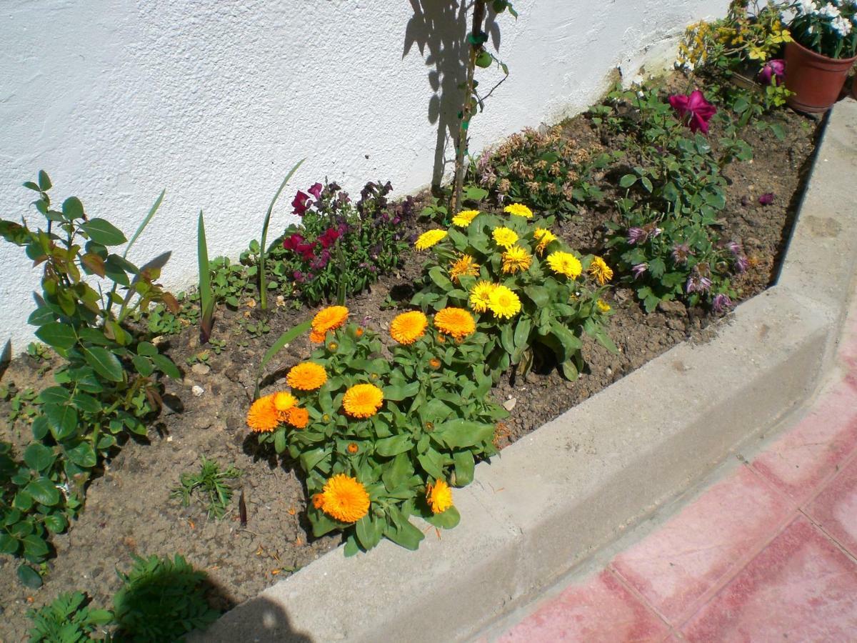 Alojamiento Rural Sierra Luz Ribatajadilla Exterior photo
